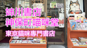 東京貓咪專門書店 姉川書店-神保町喵咪堂