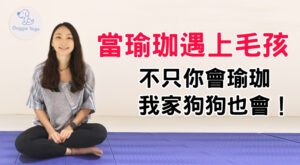 當瑜珈遇上毛孩不只你會瑜珈 我家狗狗也會！