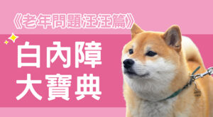 《老年問題汪汪篇》白內障大寶典