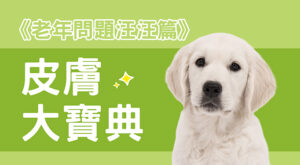 《老年問題汪汪篇》皮膚大寶典