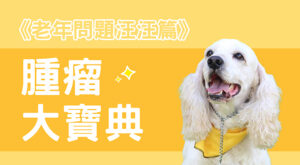 《老年問題汪汪篇》腫瘤大寶典
