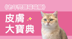 《老年問題喵喵篇》皮膚大寶典