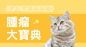 《老年問題喵喵篇》腫瘤大寶典