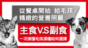 主食V.S副食一次搞懂 毛孩濕糧如何選擇