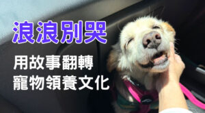 浪浪別哭 用故事翻轉寵物領養文化