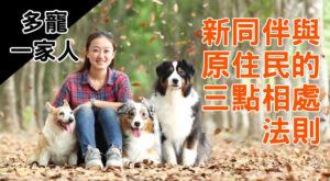 新同伴與原住民的三點相處法則