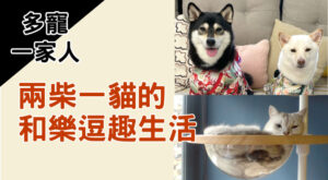 多寵一家人｜兩柴一貓的和樂逗趣生活