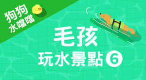 毛孩玩水景點6