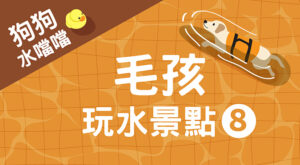 毛孩玩水景點8