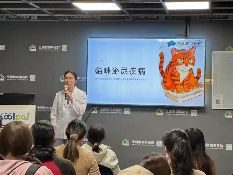 貓咪泌尿疾病